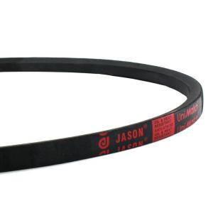 JasonIndustrial Dual V-Belt - B64/5L670