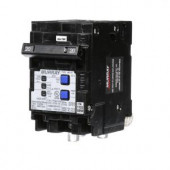 Murray 20-Amp Double-Pole Type MP-AT Combination AFCI Circuit Breaker - MP220AFCP