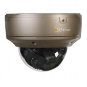 Q-SEE Platinum Series Indoor/Outdoor 1080p IP Dome Security Camera with 100 ft. Night Vision, Power Over Ethernet and SD Slot - QTN8022D