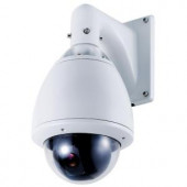 SPT Wired 600TVL PTZ Indoor/Outdoor CCD Dome Surveillance Camera with 30X Optical Zoom - 15-CD53WE
